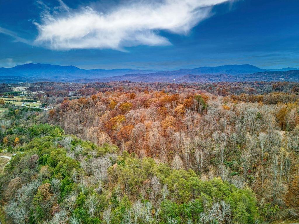 Bridgewood Cabin, Hot Tub, 1089 Of Free Attraction Tickets For Each Paid Day, Dollywood And More! Pigeon Forge Luaran gambar
